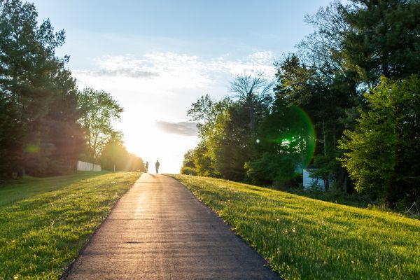 Cost of Asphalt Pathway Installation in Panama City