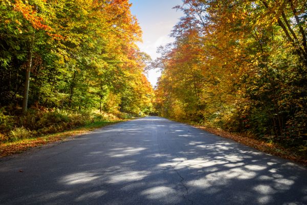 Cost of Blacktop Replacement in Panama City