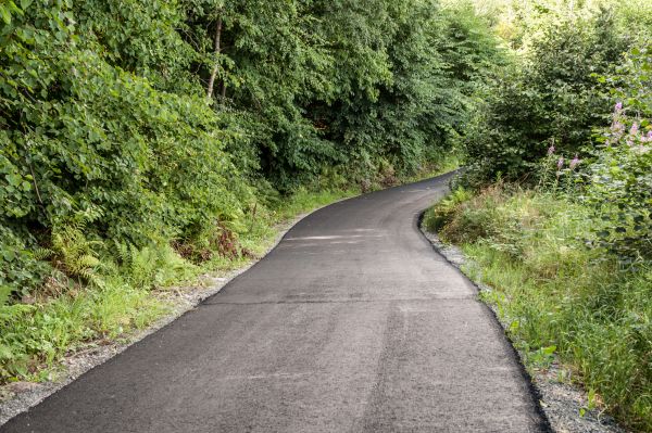 Asphalt Driveway Replacement in Panama City